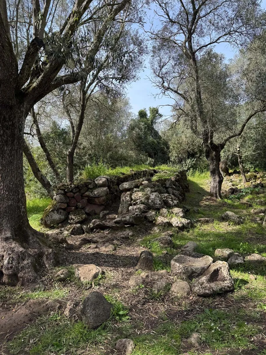 Las cabañas alargadas