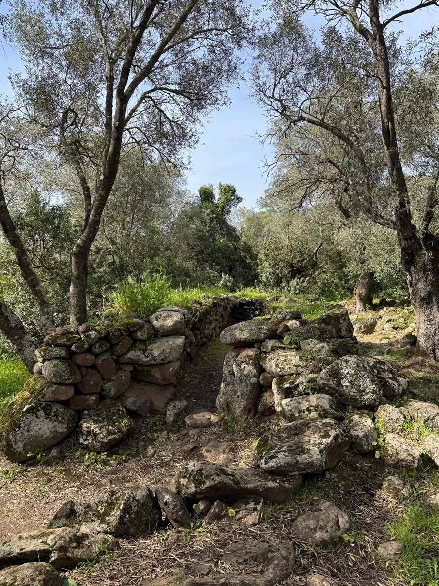 Las cabañas alargadas