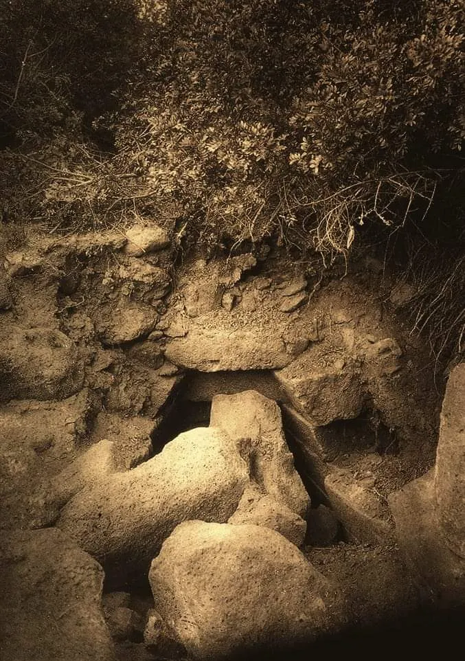 History of the excavations