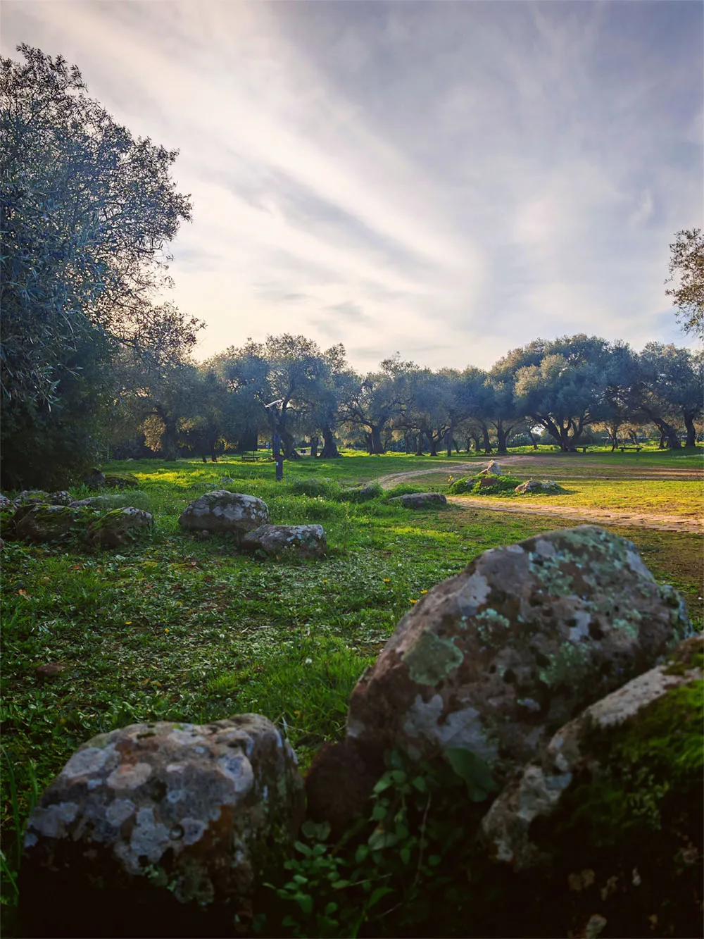 La vegetación del parque